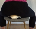 Bild 1 von Double buttcrush Teddy in leggins and slip