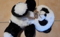 Bild 5 von buttcrush and trampling panda