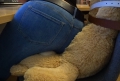 Bild 3 von Big Teddy as a seat cushion in the office