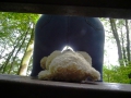 Bild 2 von Outdoor Buttcrush Teddy in Jeans