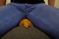 Bild 4 von Poor dog and teddy get crushed under butt